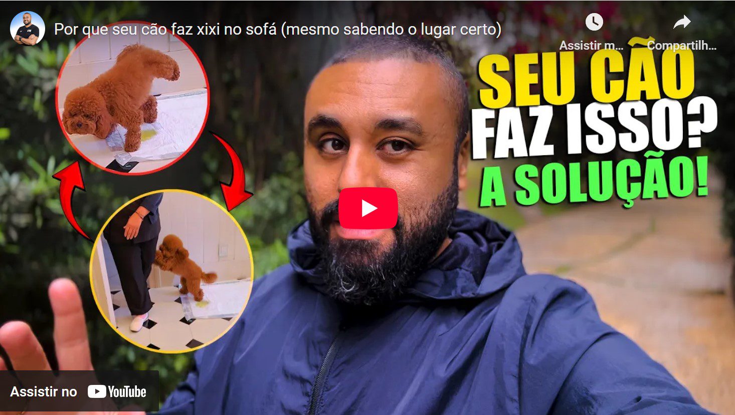 Captura de tela 2025 10 08 095002