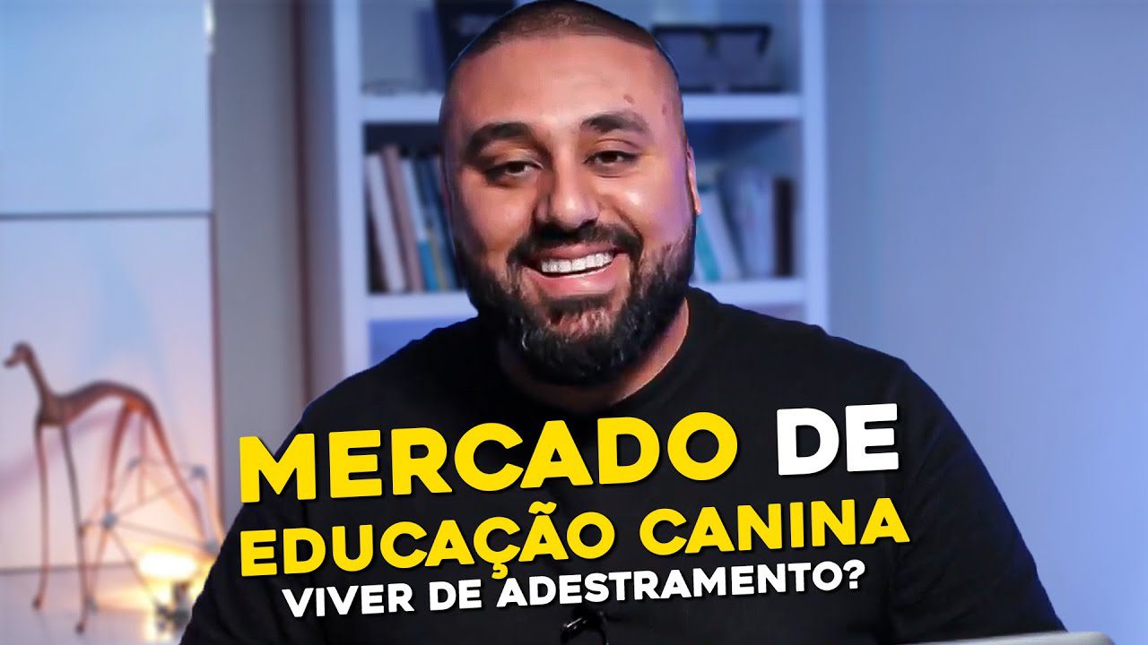 profissao e mercado de educacao 1 4