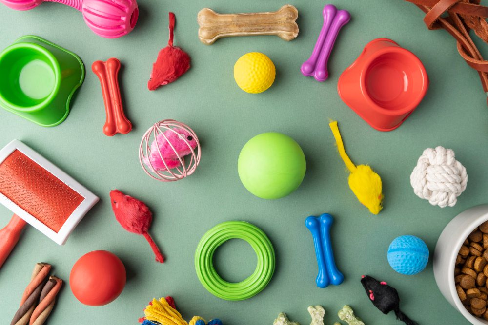 Como Ensinar o Cão a Ficar Sozinho Sem Destruir a Casa: O Guia da Autonomia