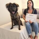 Imagem4 e1736947932114