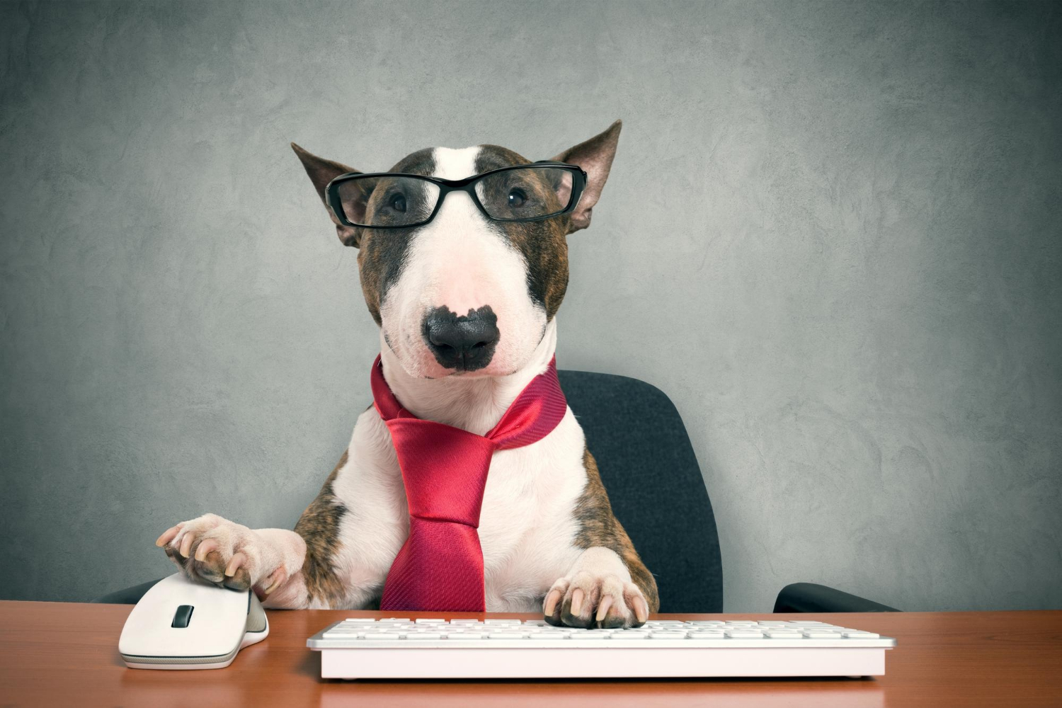 Como formalizar seu negócio (MEI): O Primeiro Passo para a Liberdade Profissional