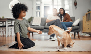 Adestramento de cães e crianças: Por que este é o "Oceano Azul" do mercado pet?