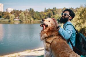 Viagem Internacional com Cães: O Passo a Passo da Documentação Exigida por Lei